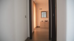 orchidea_05.jpg